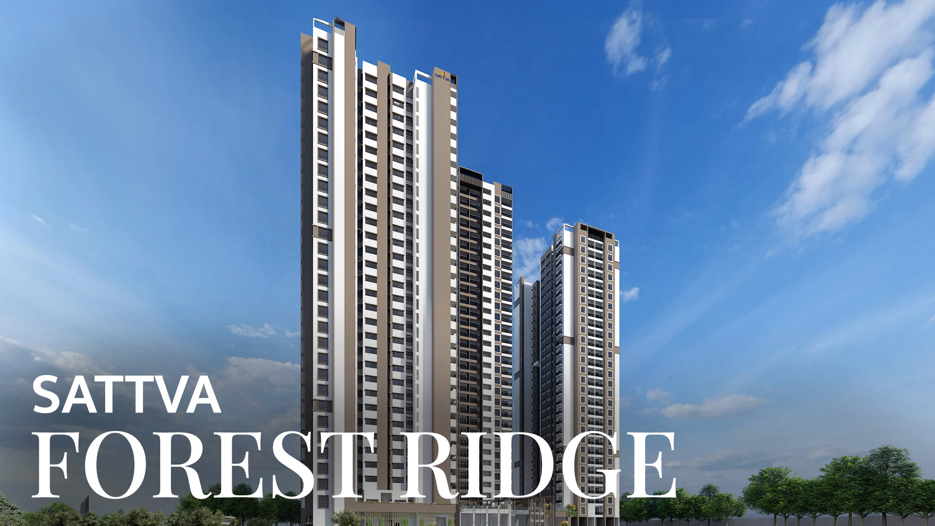 Forest Ridge Banner